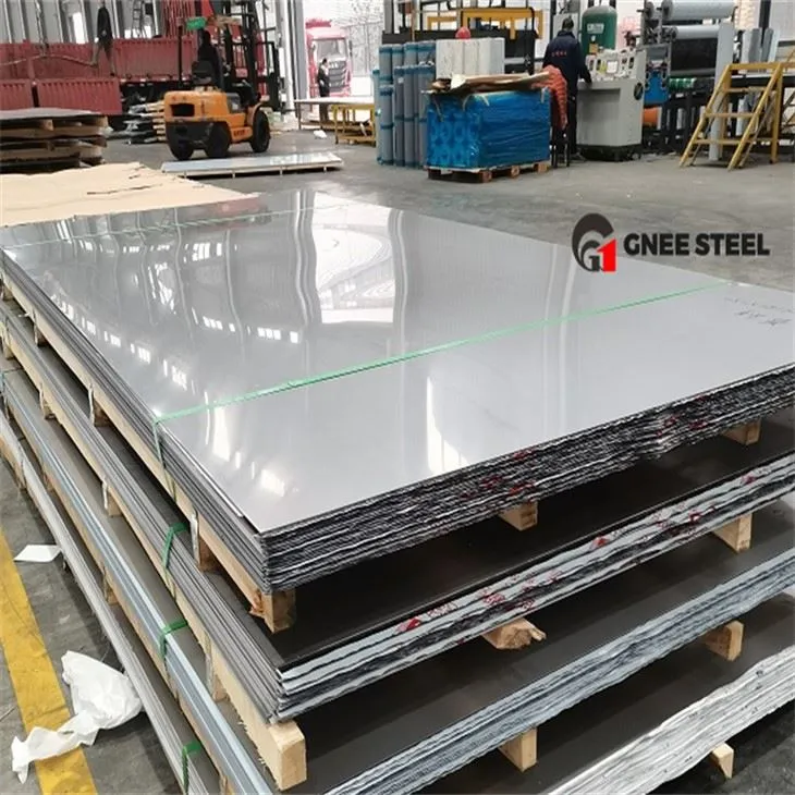 بشقاب صیقلی Hastelloy B-2