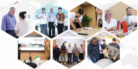 product-466-233 product-466-233